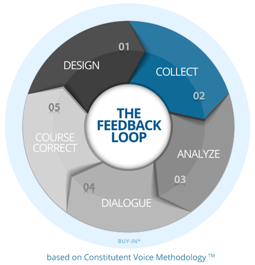 Collect Feedback and Iterate