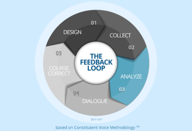 Learn About the Loop – Feedback Labs